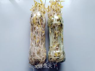 发绿豆芽的做法步骤:8