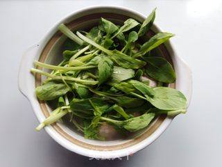 鸡毛菜肉圆汤的做法步骤:9