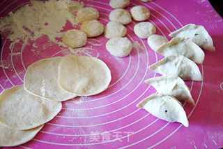 蒲公英鸡蛋馅水饺的做法步骤:7