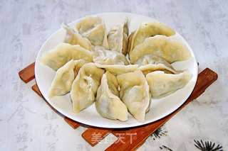 蒲公英鸡蛋馅水饺的做法步骤:9