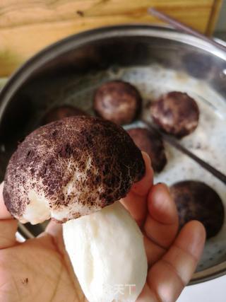 仿真蘑菇豆沙包的做法步骤:20