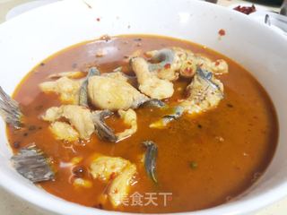 麻辣藤椒鱼的做法步骤:9