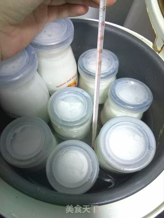 自制酸奶的做法步骤:7
