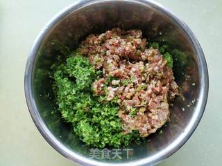芹菜肉饺子的做法步骤:12
