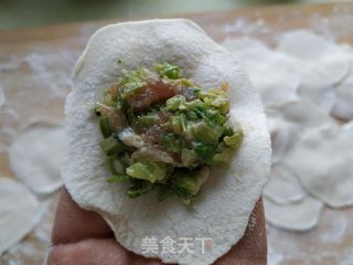 芹菜肉饺子的做法步骤:22