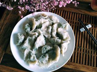 芹菜肉饺子的做法步骤:28