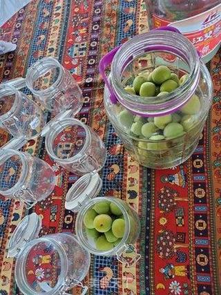 泡青梅酒需要注意什么?的做法步骤:3