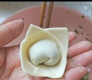 鲜肉咸蛋黄馄饨的做法步骤:9