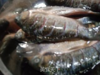 泡萝卜鲫鱼汤的做法步骤:2