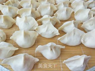 酸菜肉馅水饺的做法步骤:9