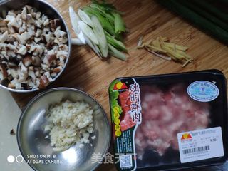 烤箱版肉末茄子的做法步骤:4