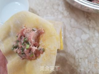 韭菜三鲜馄饨的做法步骤:10