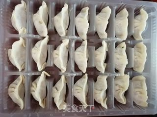 牛肉水饺的做法步骤:8