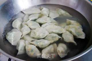 野韭菜鸡蛋馅水饺的做法步骤:9
