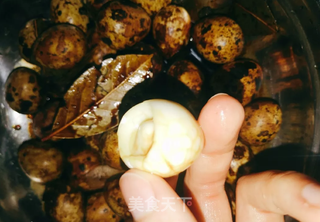 自制卤鹌鹑蛋的做法步骤:7