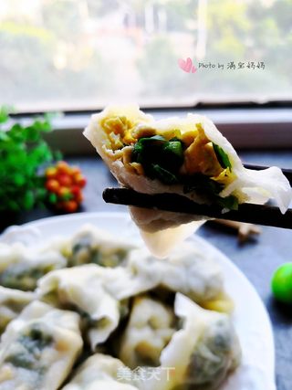 韭菜鸡蛋素饺子的做法步骤：10