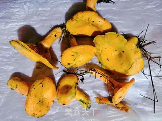鲜美野松菌豆腐肉片汤的做法步骤：1