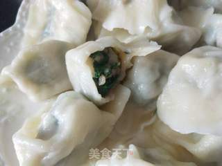 小白菜猪肉馅饺子的做法步骤:11