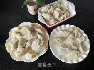小白菜猪肉馅饺子的做法步骤:12