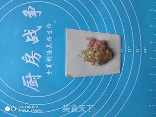 黄瓜小馄饨的做法步骤：6