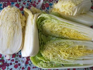 自制爽口辣白菜的做法步骤:2