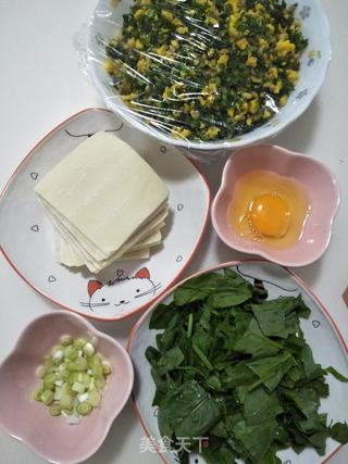 鸡蛋韭菜馄饨的做法步骤:6