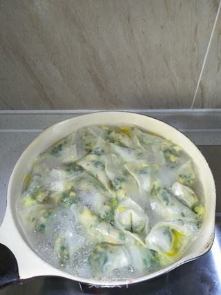 鸡蛋韭菜馄饨的做法步骤:9
