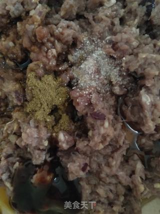 羊肉冬瓜包子的做法步骤:8