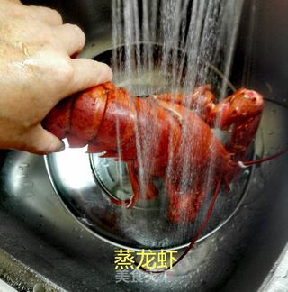 蒸龙虾的做法步骤:6