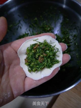 茴香熟肉饺子的做法步骤:11