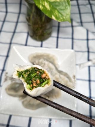茴香熟肉饺子的做法步骤:13