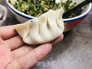 韭菜鸡蛋饺子的做法步骤:15