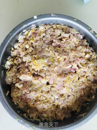 猪肉酸菜包子。的做法步骤:10