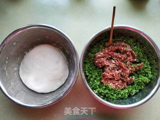 豆角肉饺子的做法步骤:12