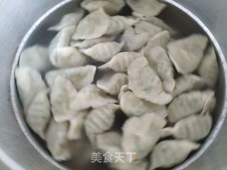 豆角肉饺子的做法步骤:20