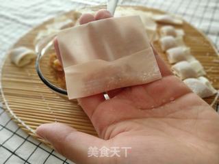 鲜肉大馄饨的做法步骤:5