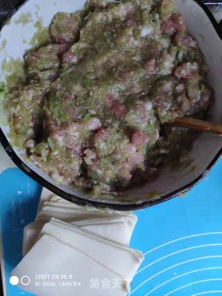 黄瓜鲜肉馄饨的做法步骤：5