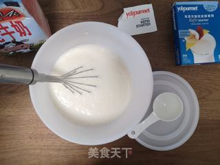 自制里海酸奶Kefir克菲尔菌种，不使用酸奶机的做法步骤：3