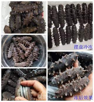 如何泡发淡干海参 的做法步骤:5
