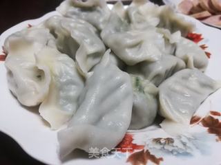 虾仁猪肉韭菜水饺的做法步骤：9