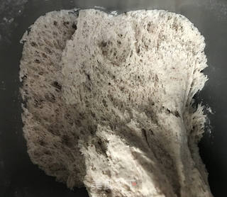 葱香黑麦花卷的做法步骤:6
