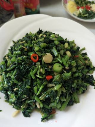 凉拌萝卜苗的做法步骤：6