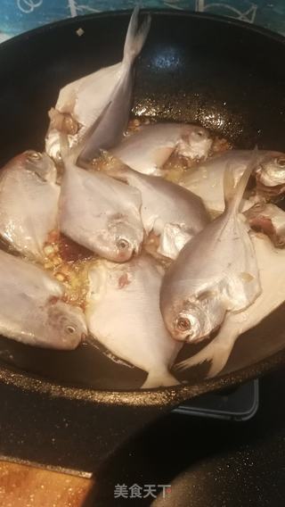 酱焖鲳鱼的做法步骤:3