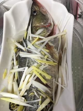 清蒸桂鱼的做法步骤：4
