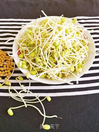 自制黄豆芽的做法步骤:13