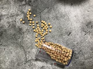 纯豆浆的做法步骤：1