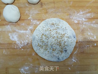 鲜肉梅干菜馅饼的做法步骤:10