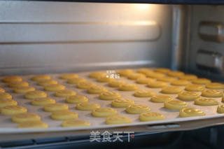 纽扣饼干的做法步骤:13