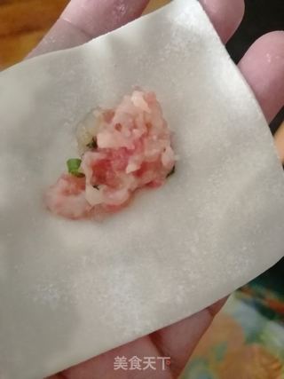 福贵虾肉小馄饨的做法步骤:13