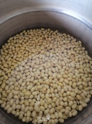 紫薯包,红豆包,豆浆。的做法步骤:11